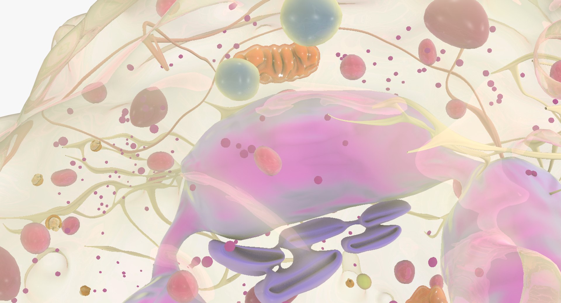 white blood cells 3D model https://p.turbosquid.com/ts-thumb/6F/Pc8sNv/lDEP7bv0/netrophil_08/jpg/1520434261/1920x1080/fit_q87/c7a773b2a8078735acb9d7bdbd591b0dc67602f7/netrophil_08.jpg