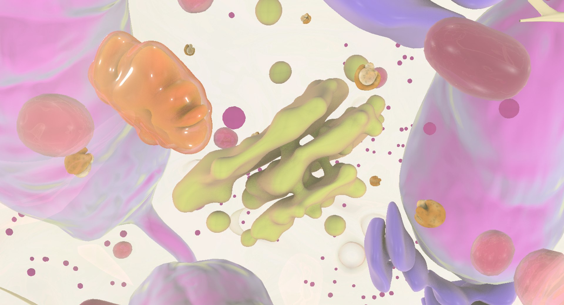 white blood cells 3D model https://p.turbosquid.com/ts-thumb/6F/Pc8sNv/mIOv3Etf/netrophil_10/jpg/1520434261/1920x1080/fit_q87/7ea813bc644b663bda8421f11c1ceeb523aa1bba/netrophil_10.jpg