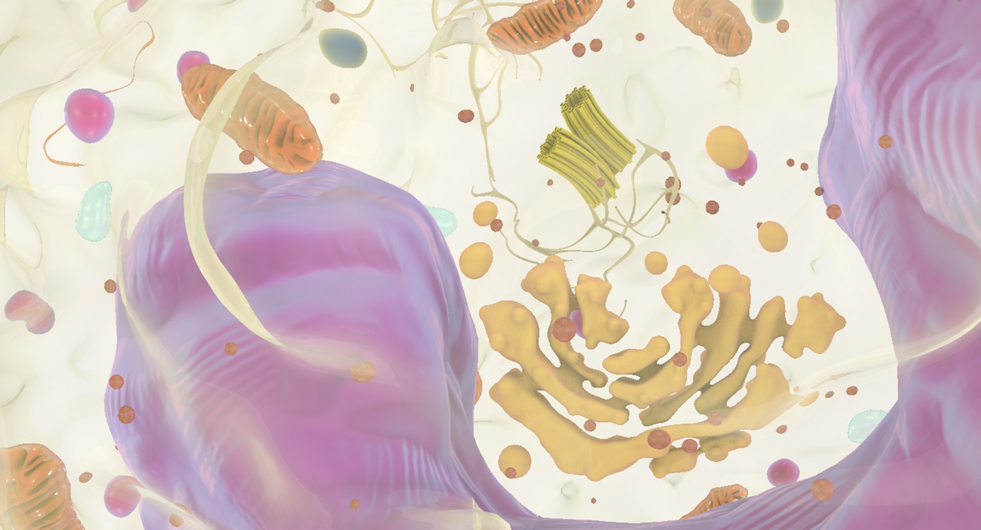 white blood cells 3D model https://p.turbosquid.com/ts-thumb/6F/Pc8sNv/qzRHhHKS/monocyte_10/jpg/1520677910/1920x1080/fit_q87/df1261acb1803c24ca83f7f5f4dd1eeda400d1db/monocyte_10.jpg