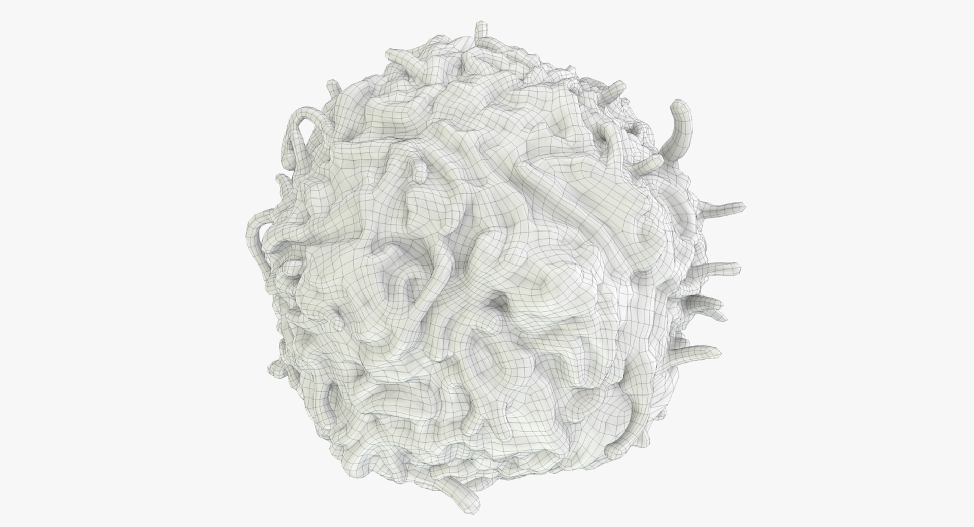 white blood cells 3D model https://p.turbosquid.com/ts-thumb/6F/Pc8sNv/ykNPA7Cd/eosinophil_outline_body/jpg/1520528329/1920x1080/turn_fit_q99/942010d677f95184a1119d494a3221e6f4614e68/eosinophil_outline_body-1.jpg