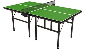 Table Tennis 3D model