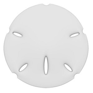 3ds max sand dollar