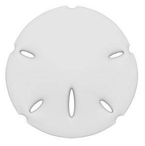 Sand Dollar