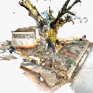 Enormous Ceiba Tree model