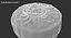 Moon Cake