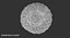 Moon Cake