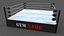 3D PBR Modular Professional Wrestling Rings 18ftx18ft model