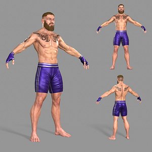 UFC Boxer