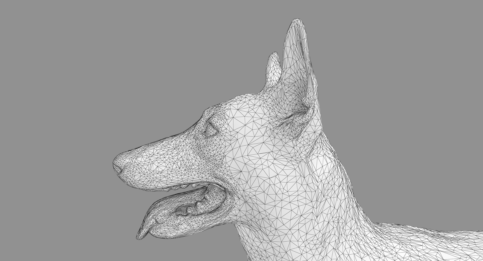 Dog Malinois 3d - Turbosquid 1328700