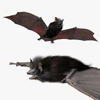Common Bat Fur For Blender