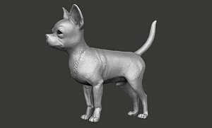 dog chihuahua 3D model
