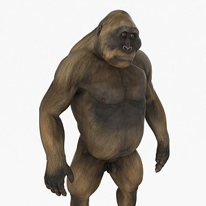 Big Ape Gigantopithecus Rigged for Maya