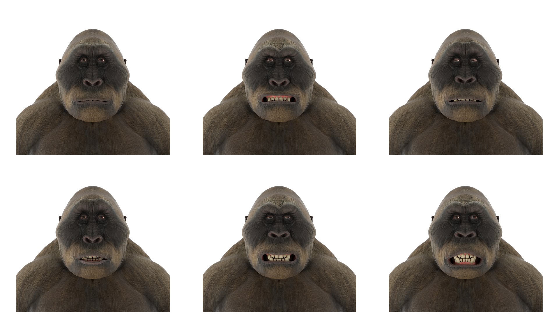 3D Big Ape Gigantopithecus Rigged For Maya - TurboSquid 2425619