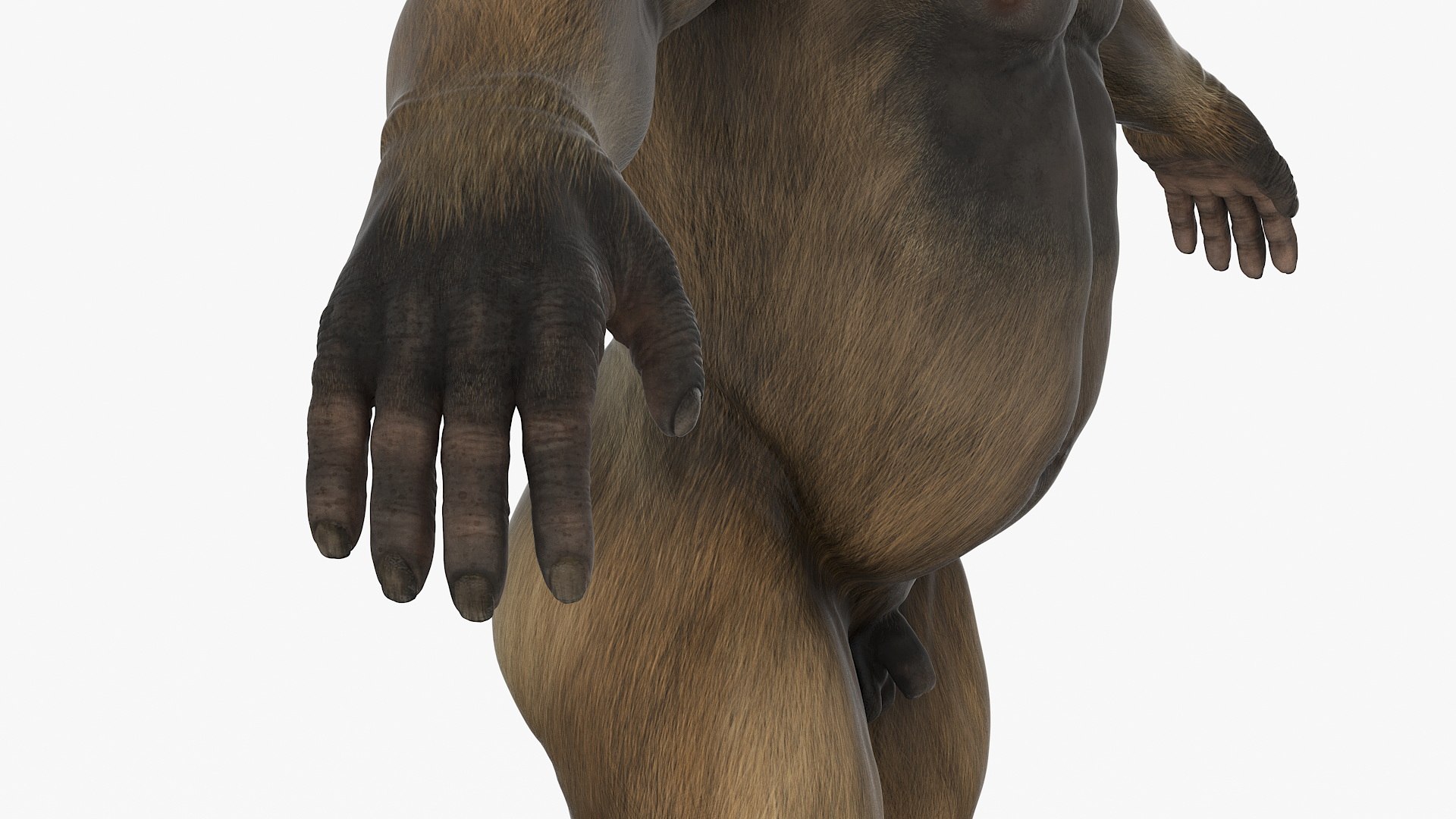 3D Big Ape Gigantopithecus Rigged For Maya - TurboSquid 2425619