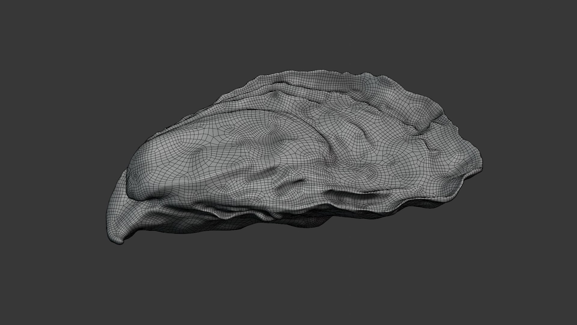 Oyster 01 3D model https://p.turbosquid.com/ts-thumb/6G/Sv1spe/FY/oyster01_z0001/png/1747069170/1920x1080/fit_q87/72a1a5d1d13992b7bae540b40532e4565ae61654/oyster01_z0001.jpg