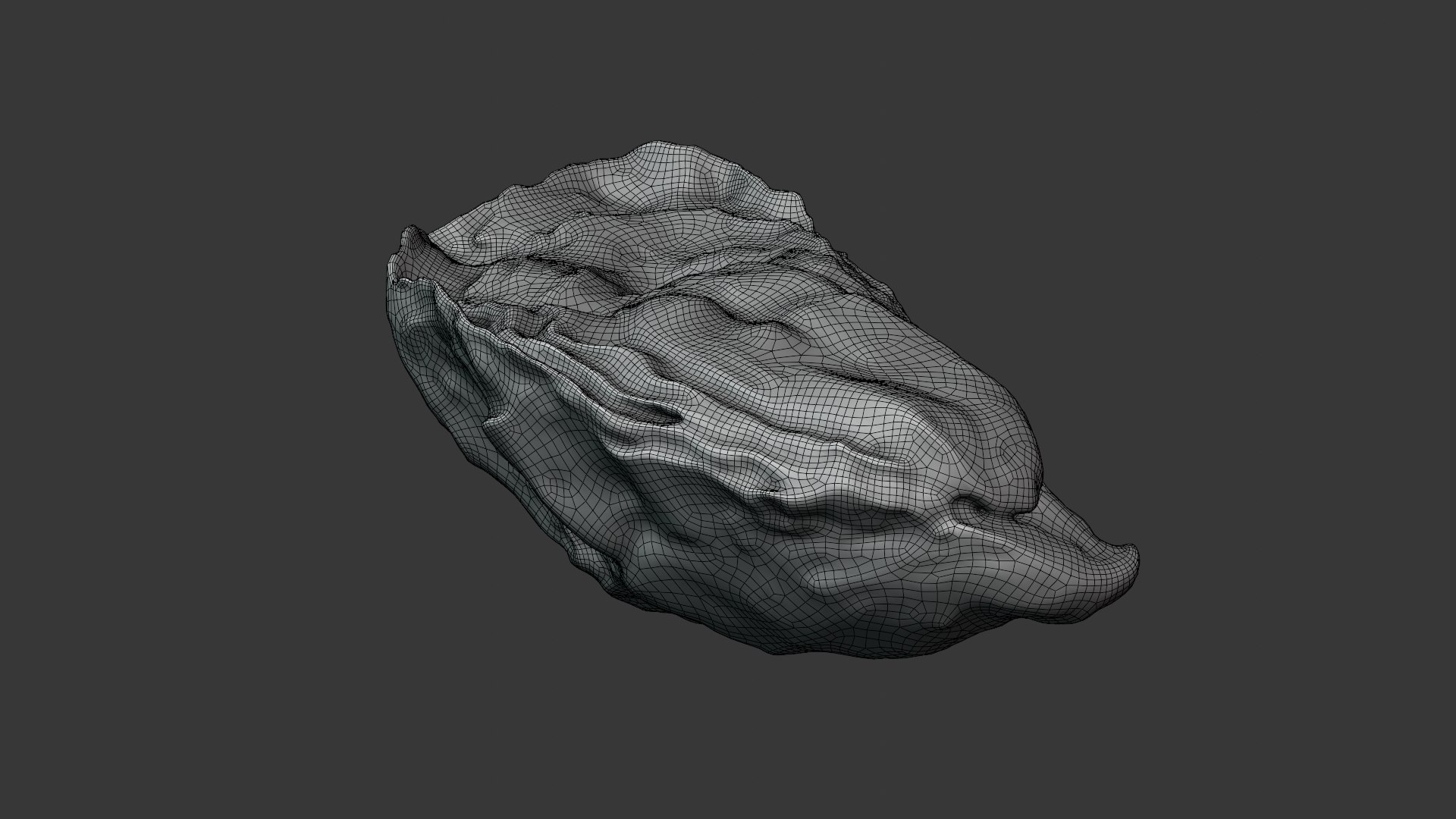 Oyster 01 3D model https://p.turbosquid.com/ts-thumb/6G/Sv1spe/L3/oyster01_z0003/png/1747069170/1920x1080/fit_q87/a2824988875a1bd2f5491a1a21da5fed260b155f/oyster01_z0003.jpg