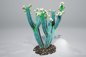 cactus pbr model