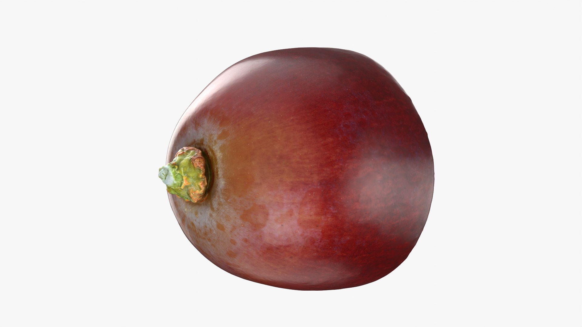 3D Grape Half 02 Raw Scan model https://p.turbosquid.com/ts-thumb/6G/c3zgOn/9Y/grapehalf02_0010/png/1755623849/1920x1080/fit_q87/a05d68908d2a8819e055a902726ce1a60c2ccac9/grapehalf02_0010.jpg