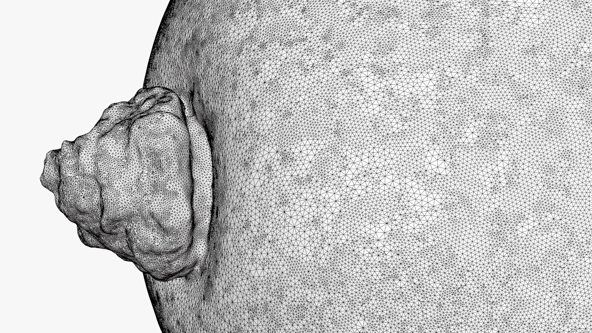 3D Grape Half 02 Raw Scan model https://p.turbosquid.com/ts-thumb/6G/c3zgOn/Hv/grapehalf02_d0013/png/1755623856/1920x1080/fit_q87/9da78fee9e04315b0de85992011c9278d21d4fd2/grapehalf02_d0013.jpg