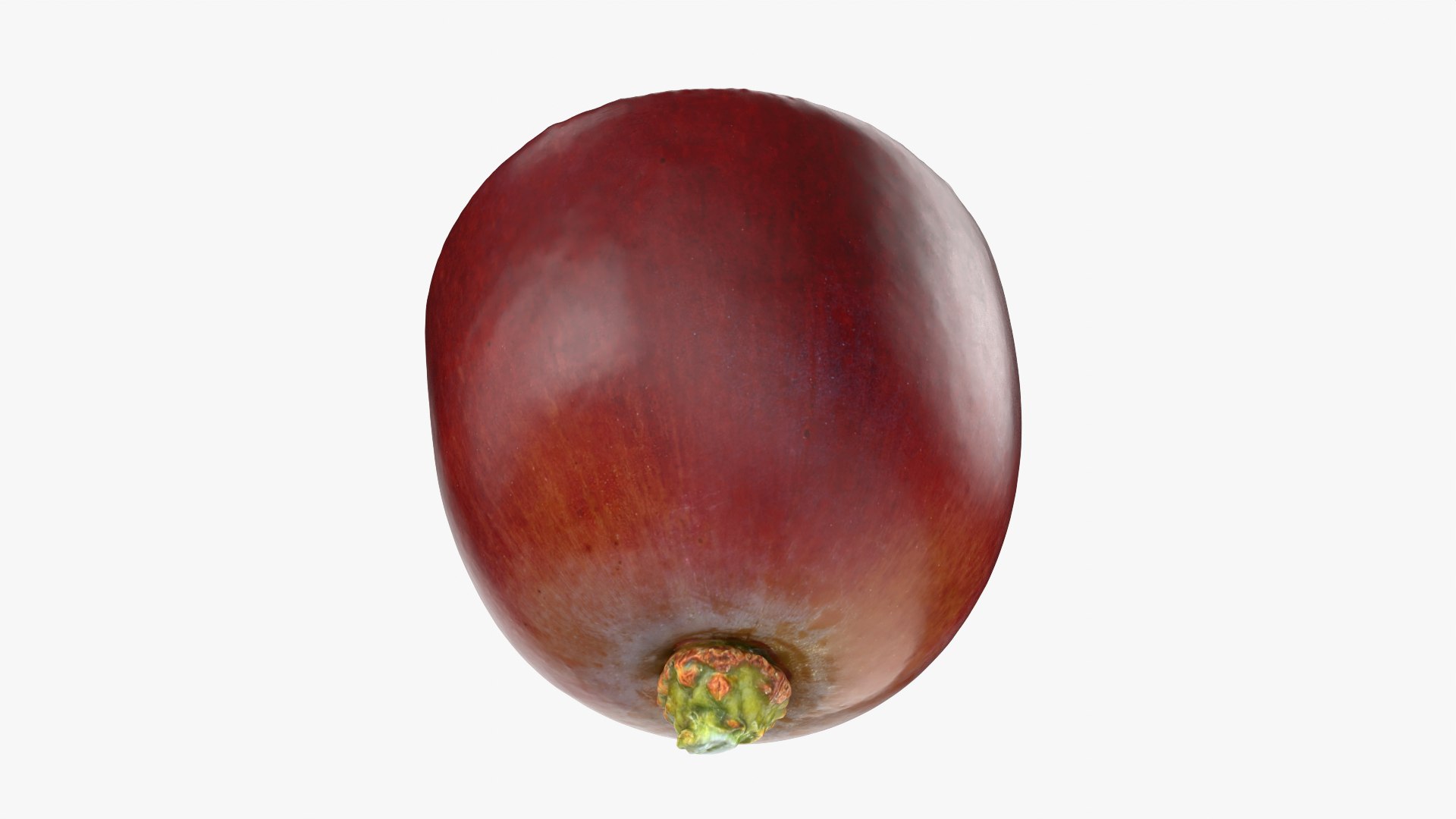 3D Grape Half 02 Raw Scan model https://p.turbosquid.com/ts-thumb/6G/c3zgOn/Yq/grapehalf02_0012/png/1755623851/1920x1080/fit_q87/a529740aff41aca11d963a38ae4be5491e34b0dd/grapehalf02_0012.jpg