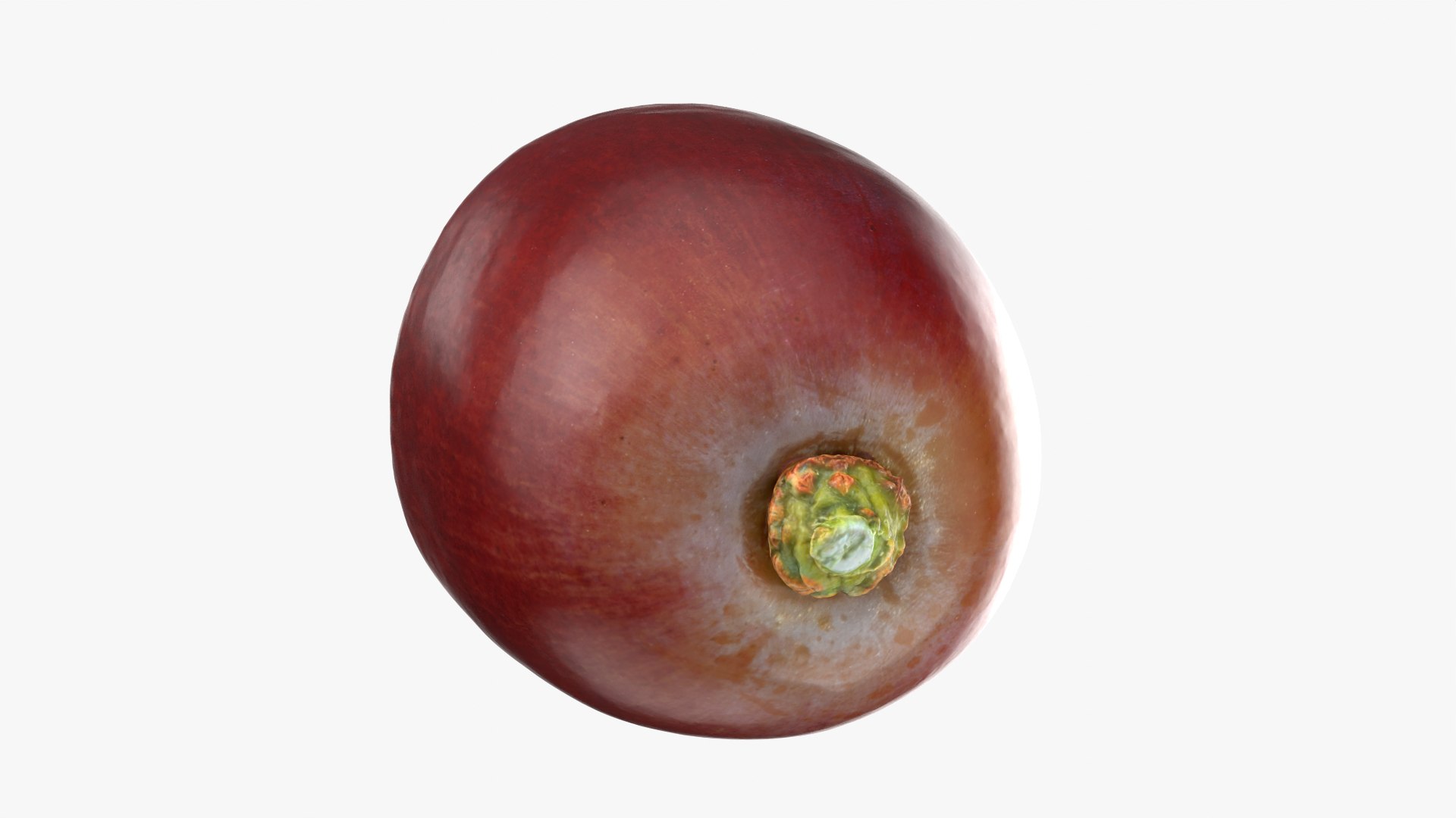 3D Grape Half 02 Raw Scan model https://p.turbosquid.com/ts-thumb/6G/c3zgOn/nV/grapehalf02_0004/png/1755623844/1920x1080/fit_q87/fc4b7b2015d904fabddc48c7740906409d279cb8/grapehalf02_0004.jpg