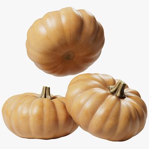3D Pumpkin model