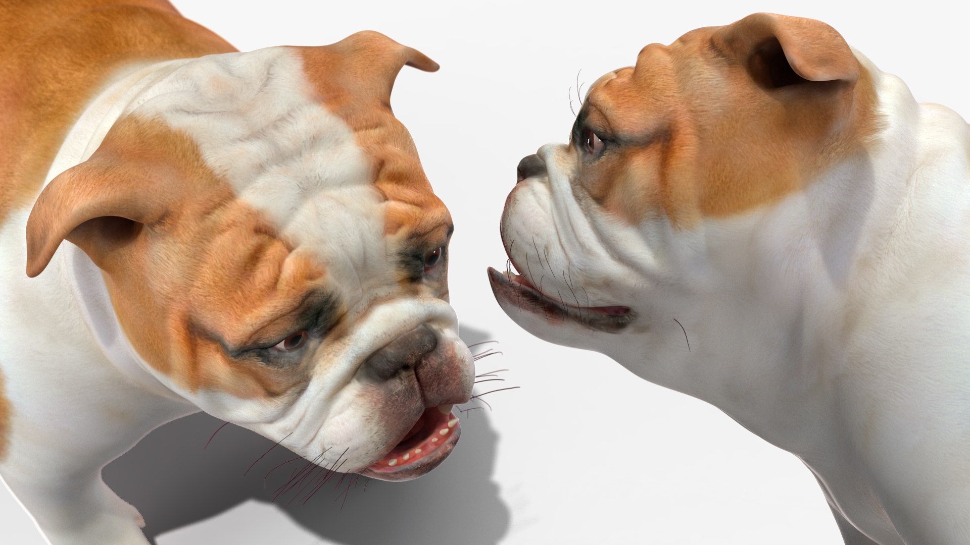 Bulldog 3D model - TurboSquid 2177593