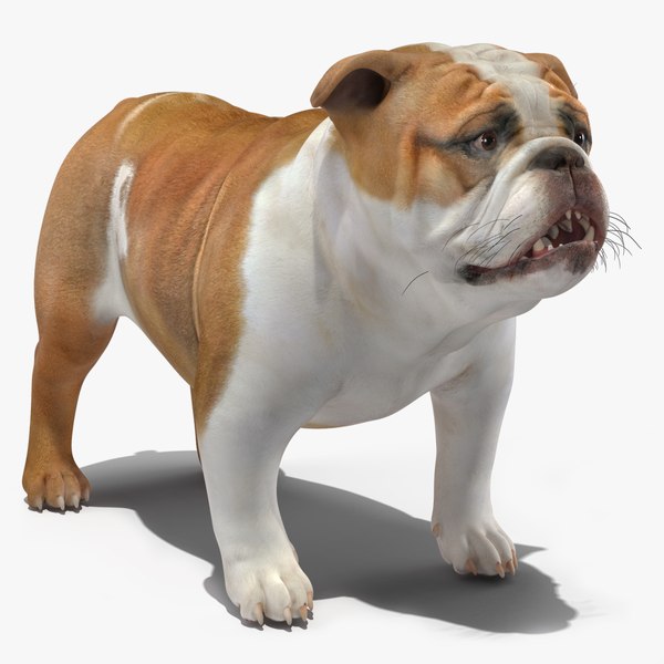 bulldogvray3dmodel000.jpg