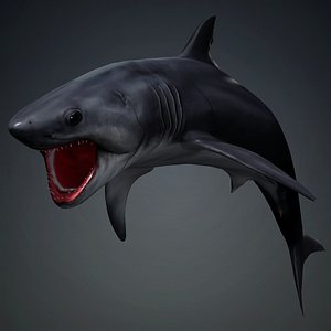 Shark-A1 3D