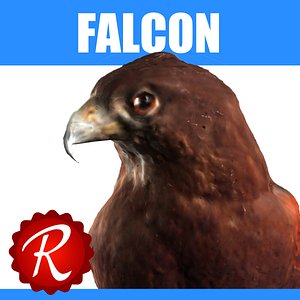 Falcon