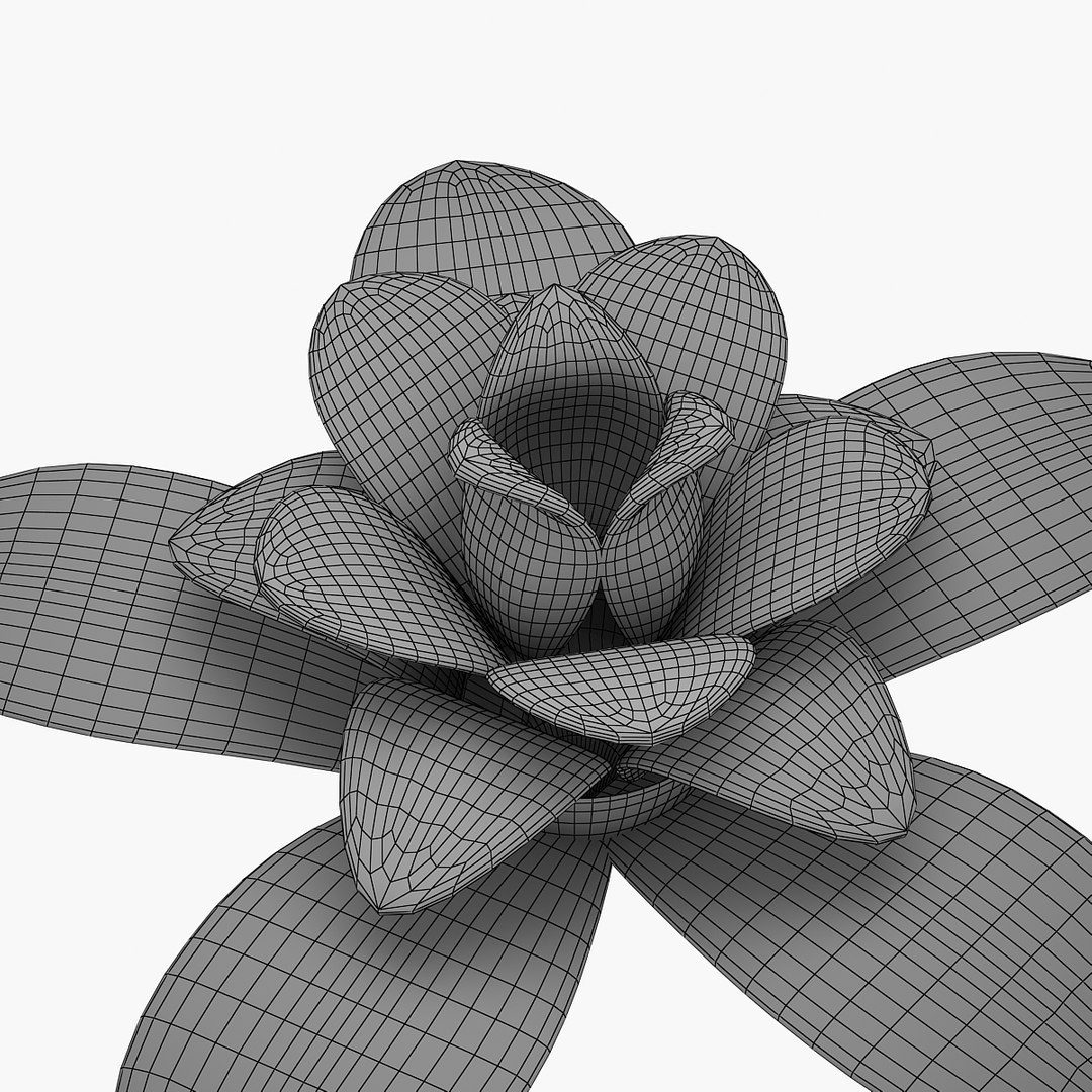 3D flower plant nature - TurboSquid 1542540