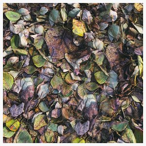 Autumn foliage material 01