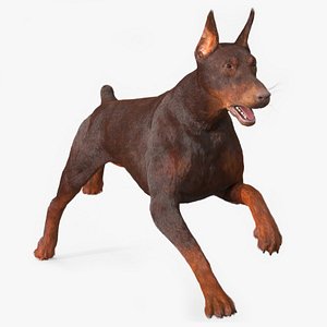 Brown Doberman Pinscher Running Fur 3D model