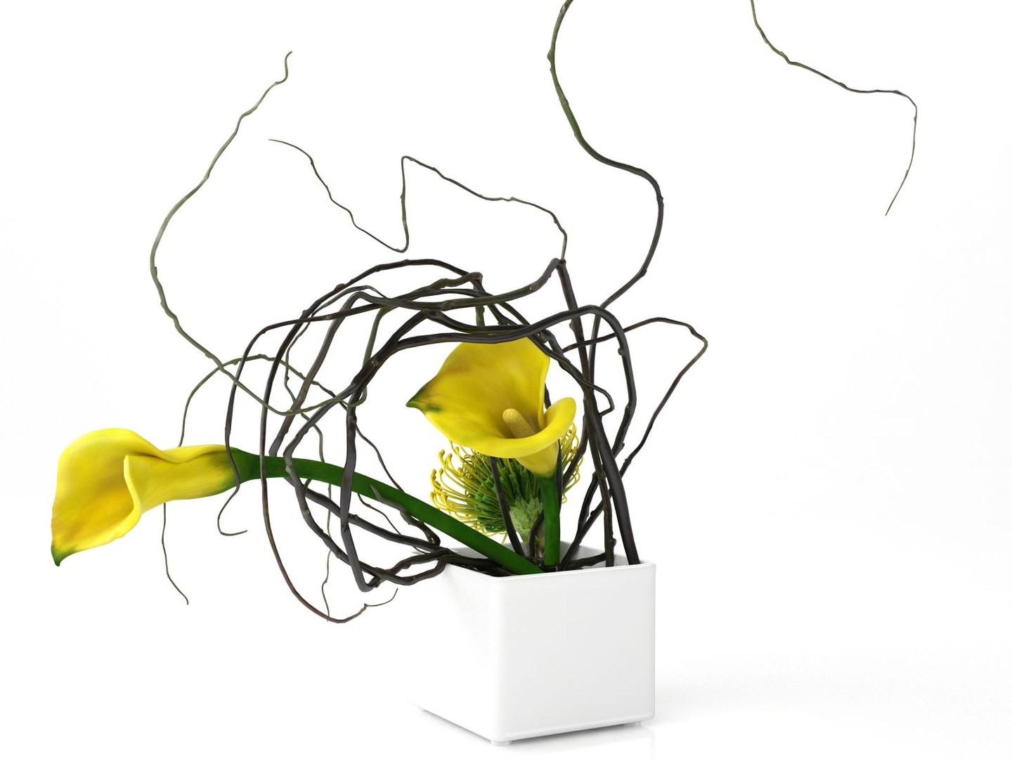 calla lily protea ikebana 3D model https://p.turbosquid.com/ts-thumb/6H/D93T2v/JoPyIg6x/smallaccents_yellowcalla_protea3/jpg/1511188482/1920x1080/fit_q87/13dea177bc3792ca858b7c80717a9a77ab529264/smallaccents_yellowcalla_protea3.jpg