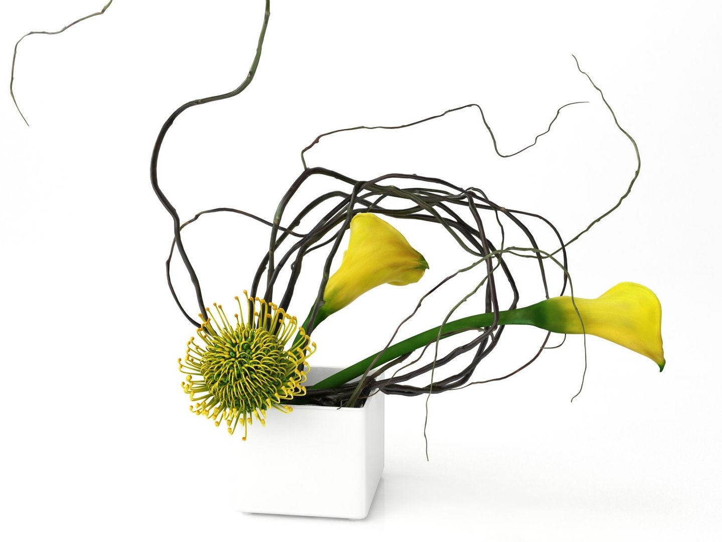 calla lily protea ikebana 3D model https://p.turbosquid.com/ts-thumb/6H/D93T2v/XglvqZaW/smallaccents_yellowcalla_protea/jpg/1511188477/1920x1080/fit_q87/bc9eff938d58e8e68211eaa4ad67b0adbc4a7d95/smallaccents_yellowcalla_protea.jpg