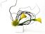 Calla Lily & Protea Ikebana