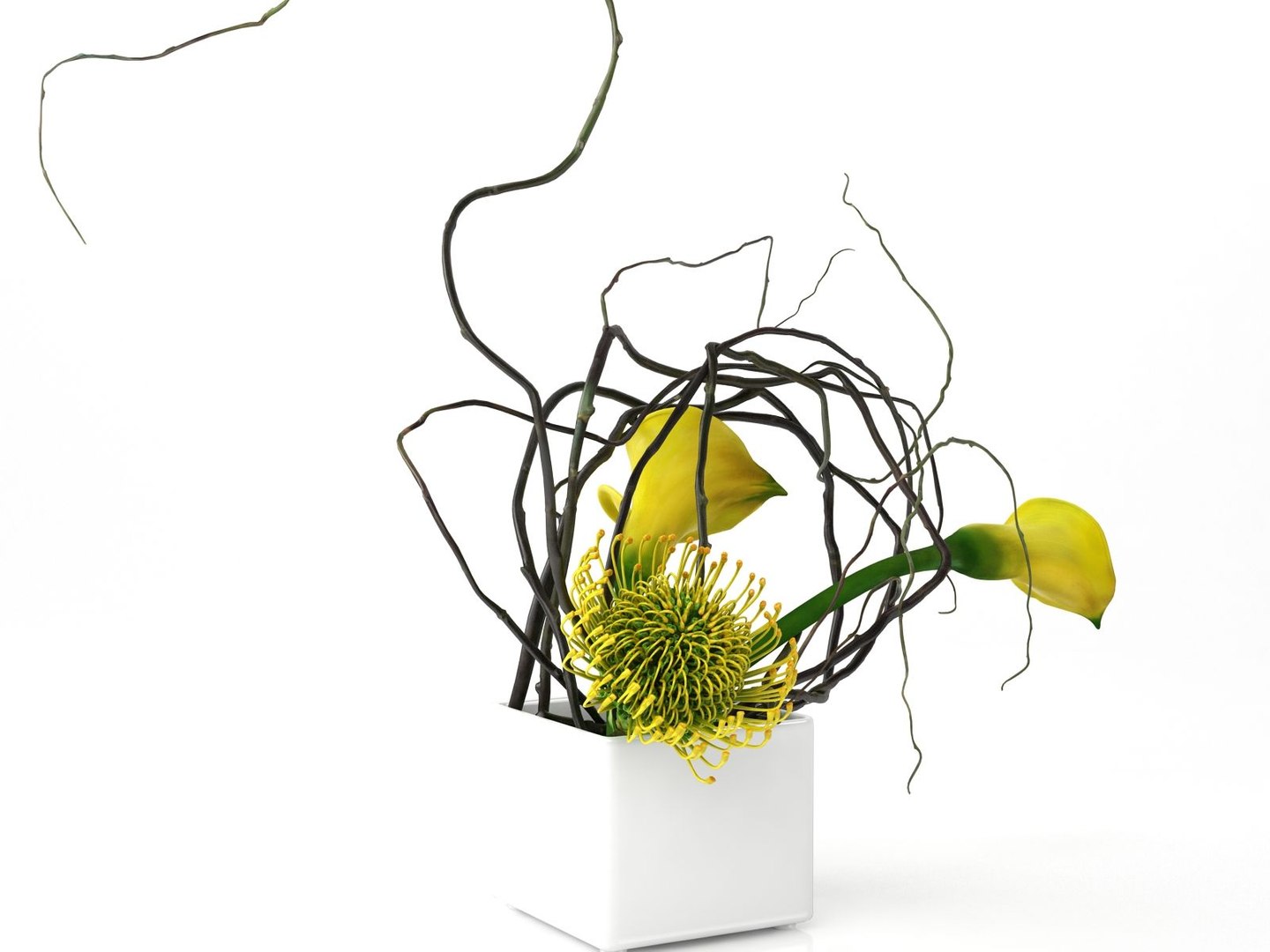 calla lily protea ikebana 3D model https://p.turbosquid.com/ts-thumb/6H/D93T2v/dQZwFThS/smallaccents_yellowcalla_protea4/jpg/1511188468/1920x1080/fit_q87/47b85f21570e4c10945bcbcac4ca80908b8bbe08/smallaccents_yellowcalla_protea4.jpg