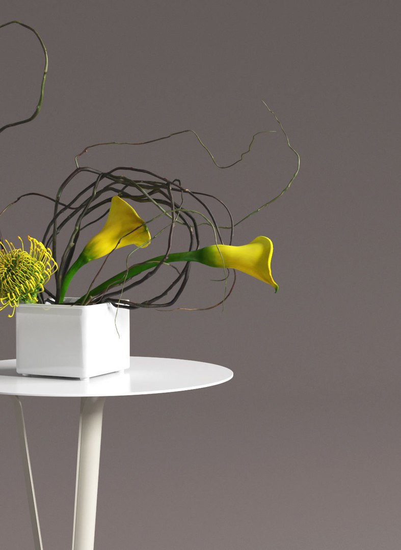calla lily protea ikebana 3D model https://p.turbosquid.com/ts-thumb/6H/D93T2v/hfr3a1tK/smallaccents_yellow_calla_protea6/jpg/1511188459/1920x1080/fit_q87/36672d1a968fe9122c4ad75cf54d3eaf4f7fc154/smallaccents_yellow_calla_protea6.jpg
