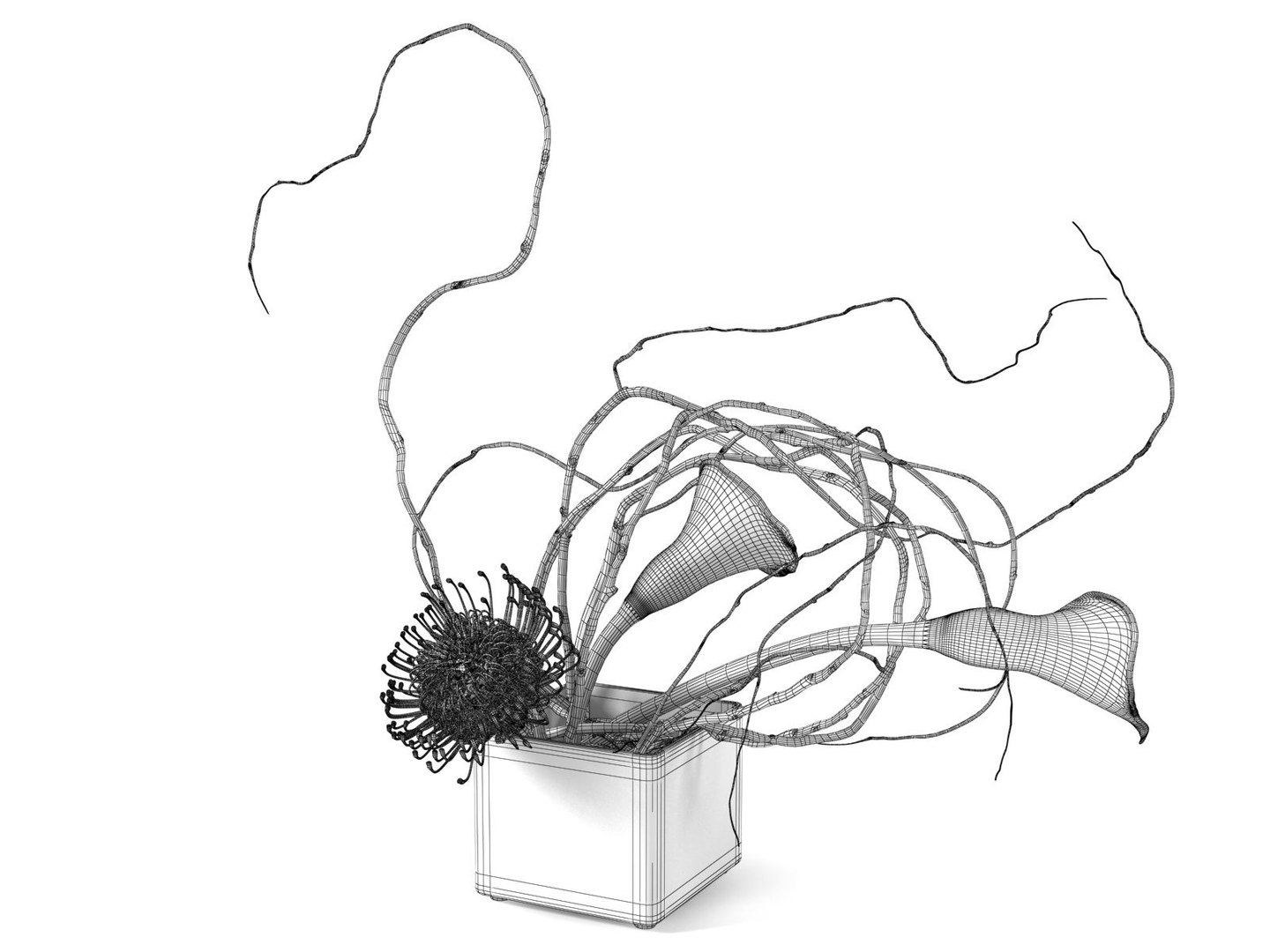 calla lily protea ikebana 3D model https://p.turbosquid.com/ts-thumb/6H/D93T2v/s0ORt0Tt/calla_lily_and_protea_ikebana19cam001wire1474720000/jpg/1511188489/1920x1080/fit_q87/de98a48cf26fd01dcf8fa55b05476d0141271982/calla_lily_and_protea_ikebana19cam001wire1474720000.jpg