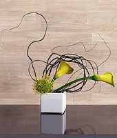 Calla Lily & Protea Ikebana