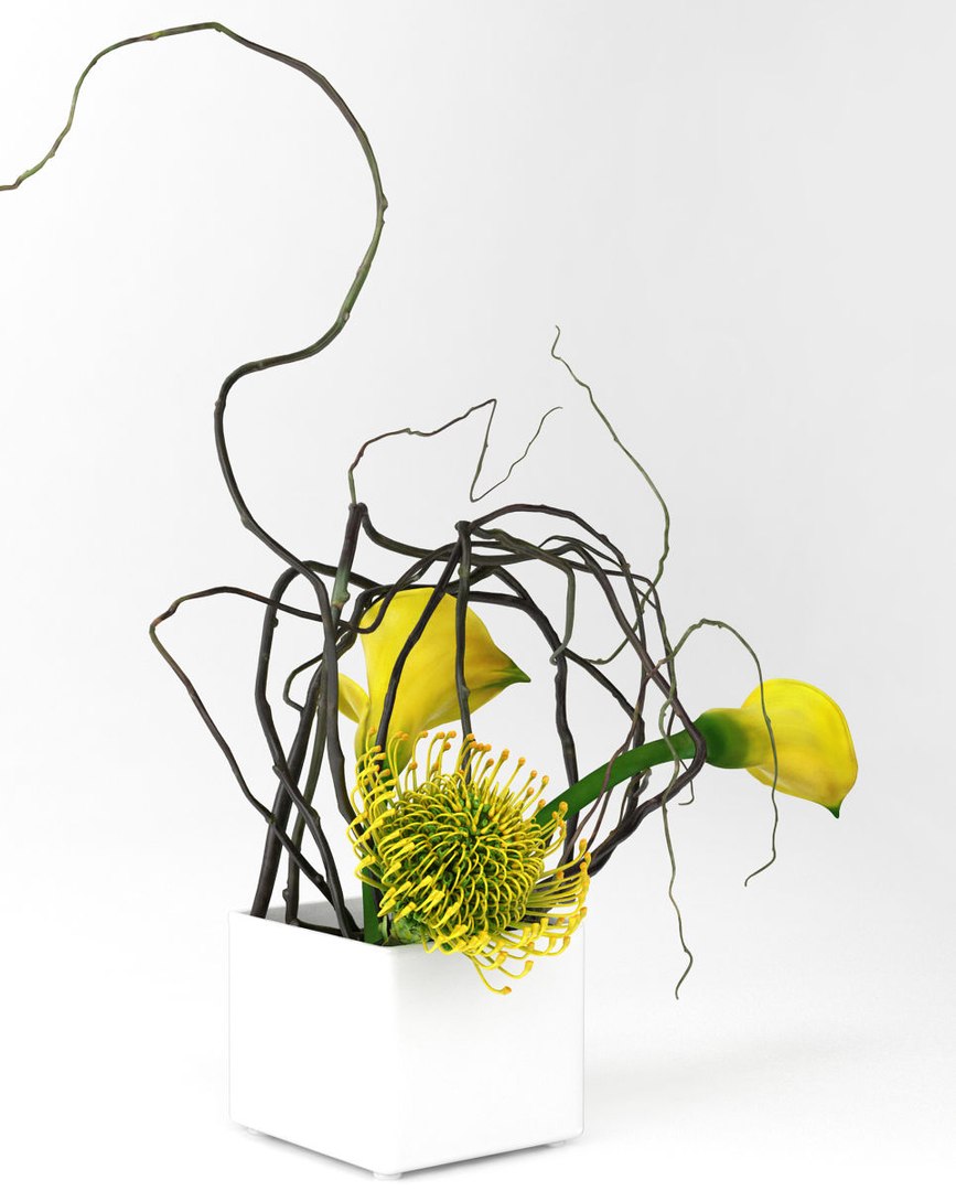 calla lily protea ikebana 3D model https://p.turbosquid.com/ts-thumb/6H/D93T2v/yx2kVW1V/smallaccents_yellow20calla_protea5/jpg/1511188475/1920x1080/fit_q87/0064d8e1929fd55c40d08b4c5e08e1e9cab0ff75/smallaccents_yellow20calla_protea5.jpg