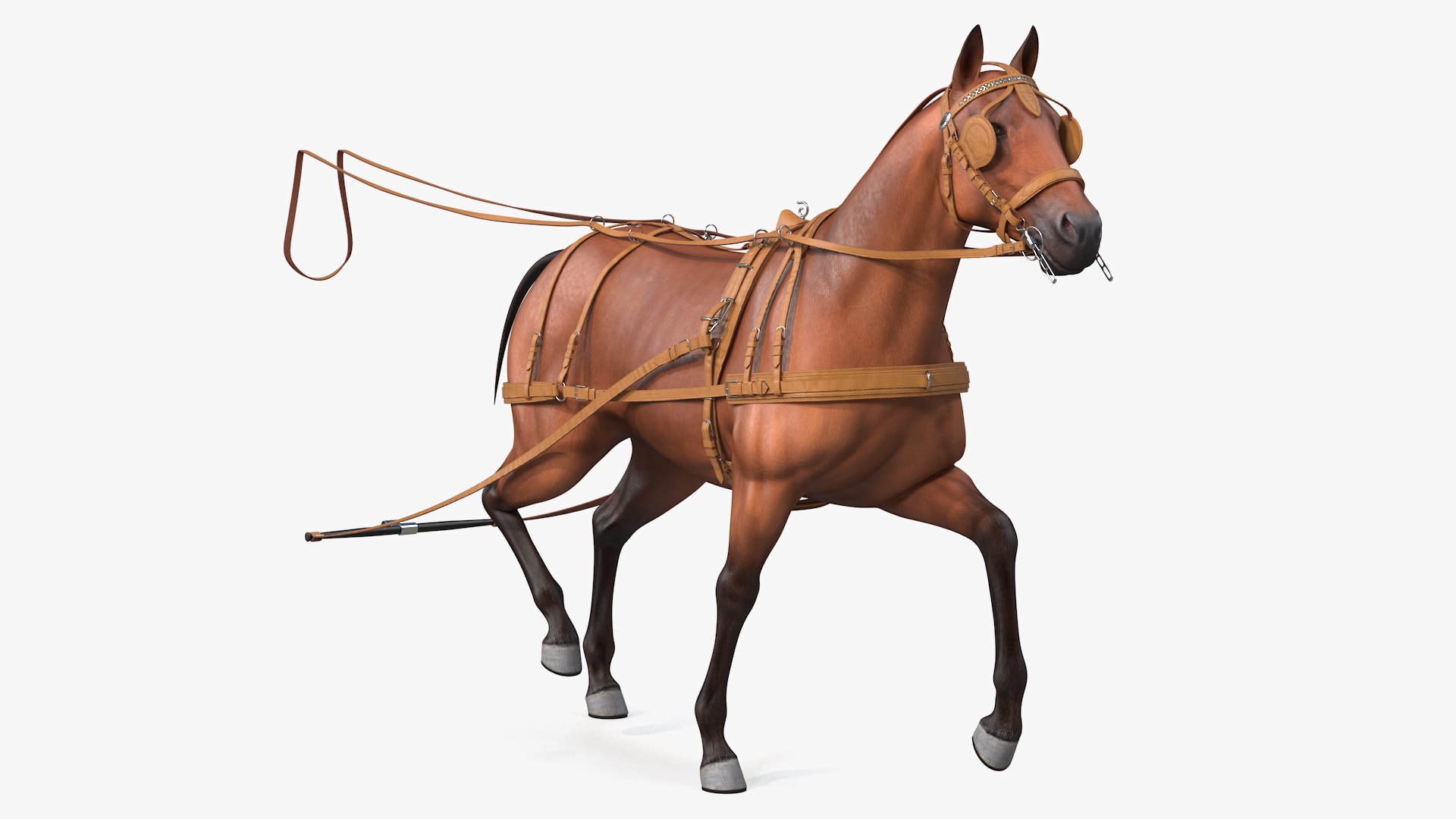 Horse Drawn Leather Harness Walking Pose 3D model preview