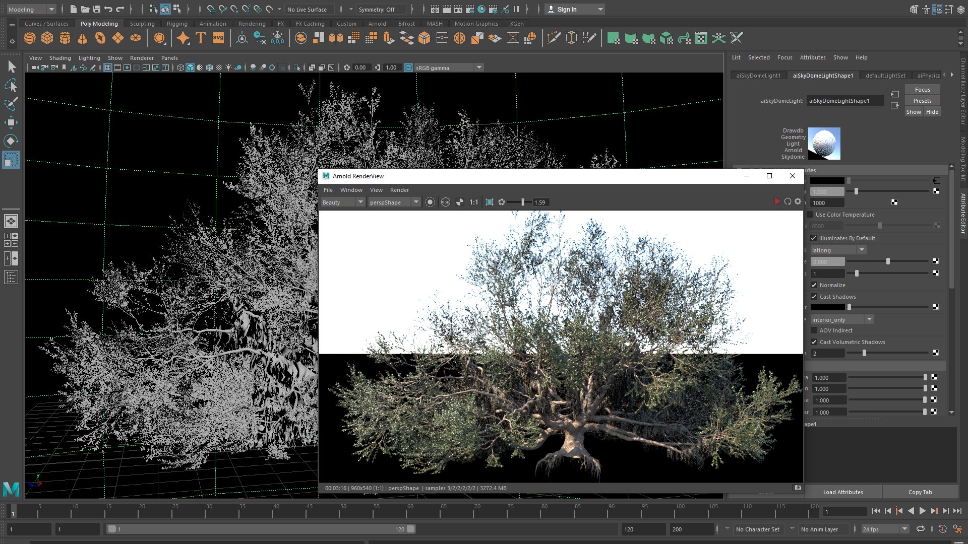 3D Angel Oak Live Tree Lying Floor - TurboSquid 2153500