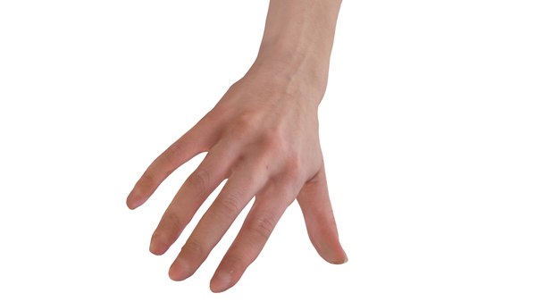 obj female hands