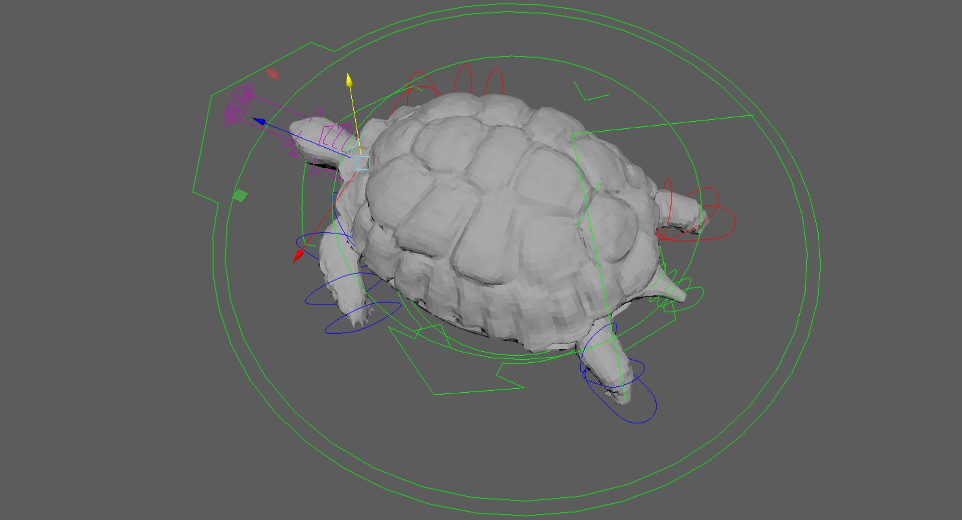Turtle Rigged 3D Model - TurboSquid 1253501