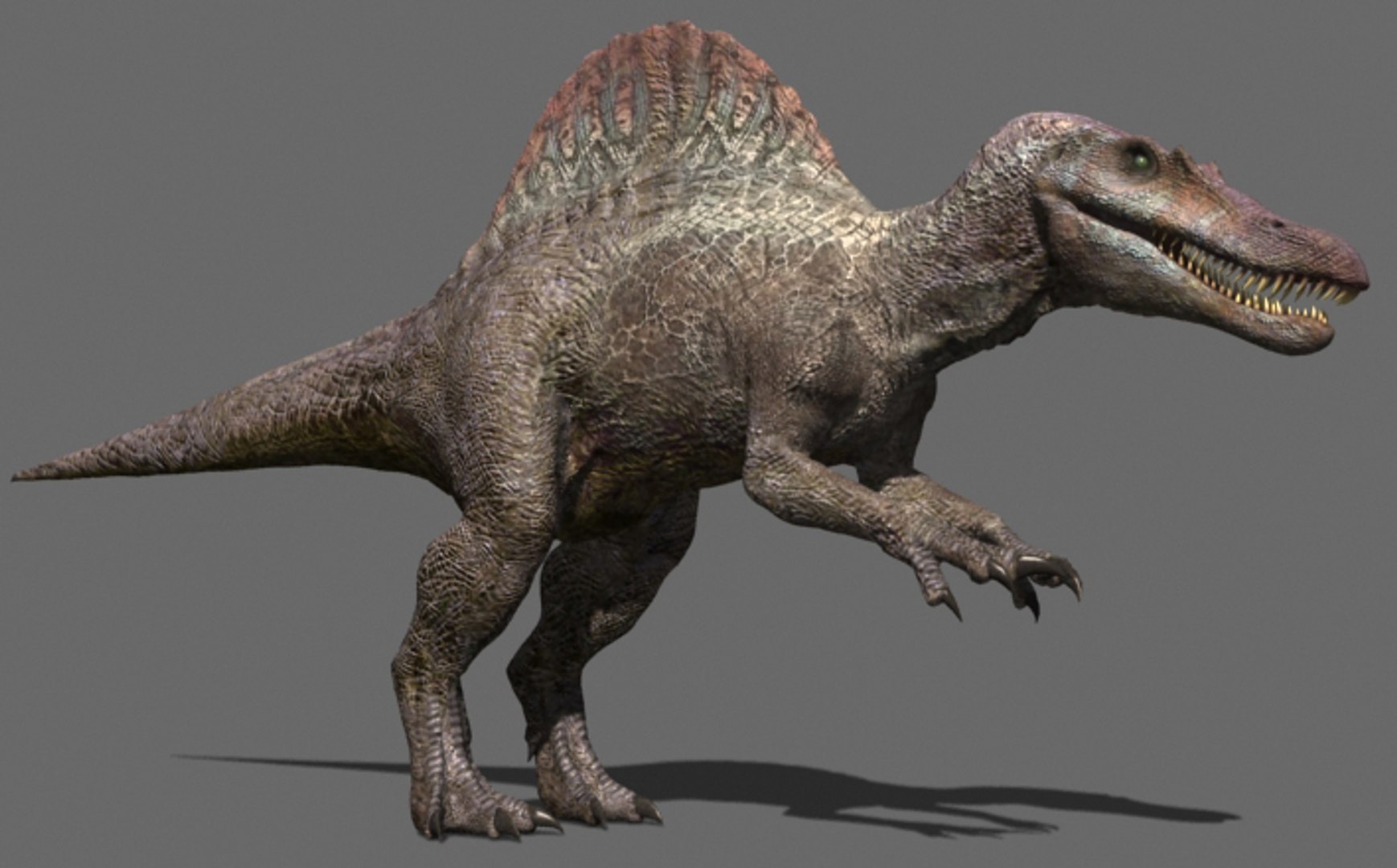 Jurassic Spinosaur 3d Max