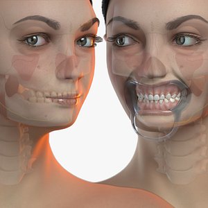 3D primary dentition mannequin v-ray model