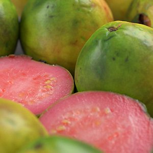 guava fruit 3D model