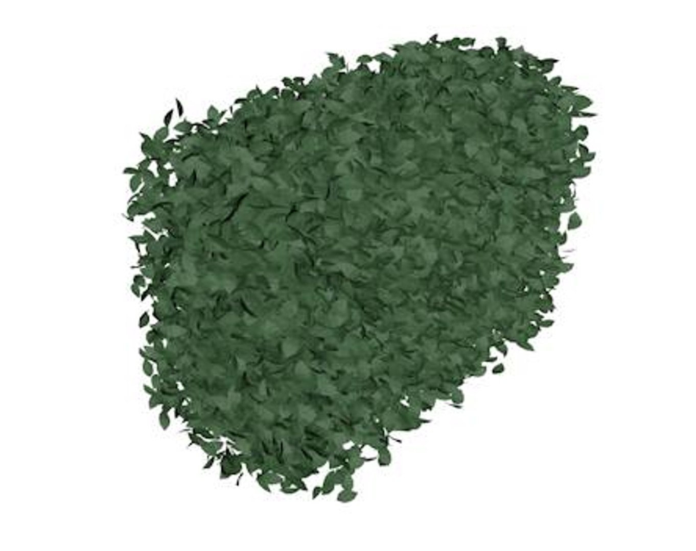 Bush Shrub 3d Model