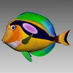 Surgeon Fish animated